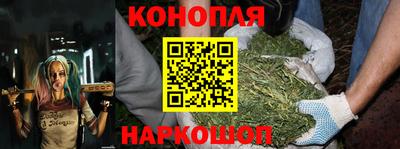 амф Камышлов