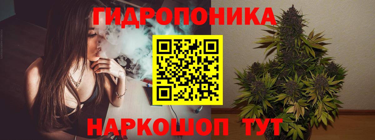 Бошки марихуана конопля Мурманск