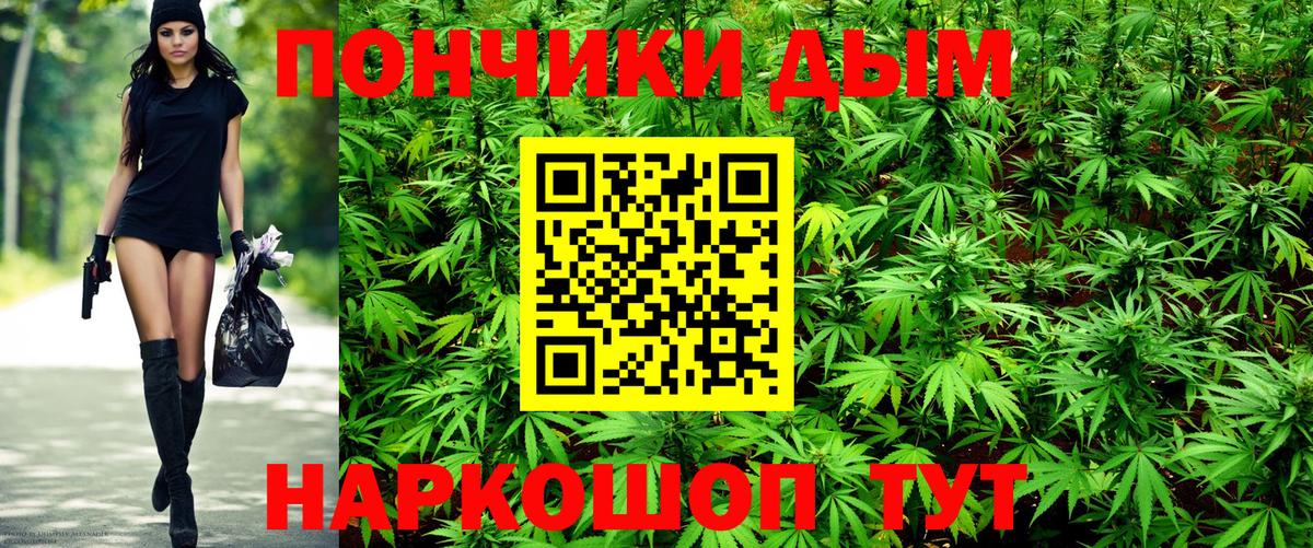 Конопля Мурманск